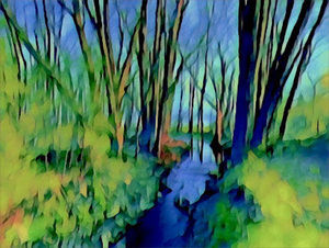 Meet your Posher, Kathy